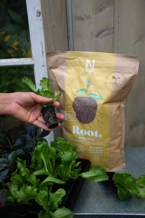 Root biohumus 4L