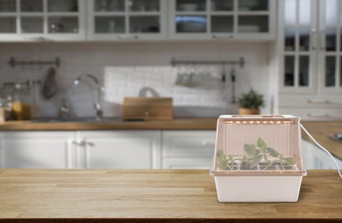 Minidrivhus m/vekstlys