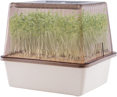 Minidrivhus m/vekstlys