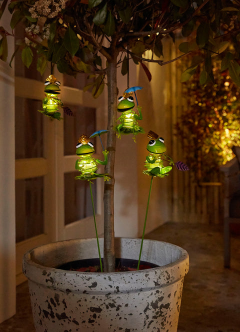 2-pk frosker på pinne med solcellebelysning