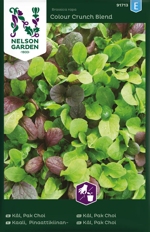 Pak Choi kål 'Colour Crunch Blend' (2026 nyhet!)
