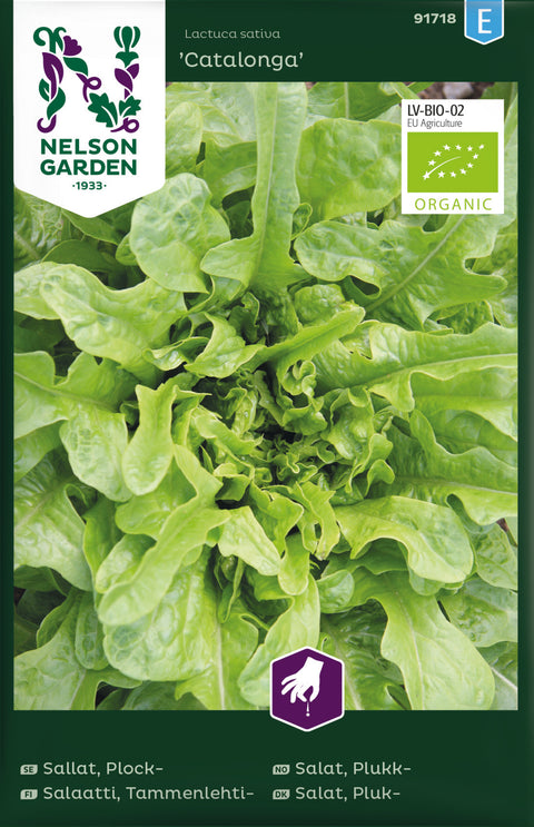 Bladsalat 'Catalonga' (2026 nyhet!)