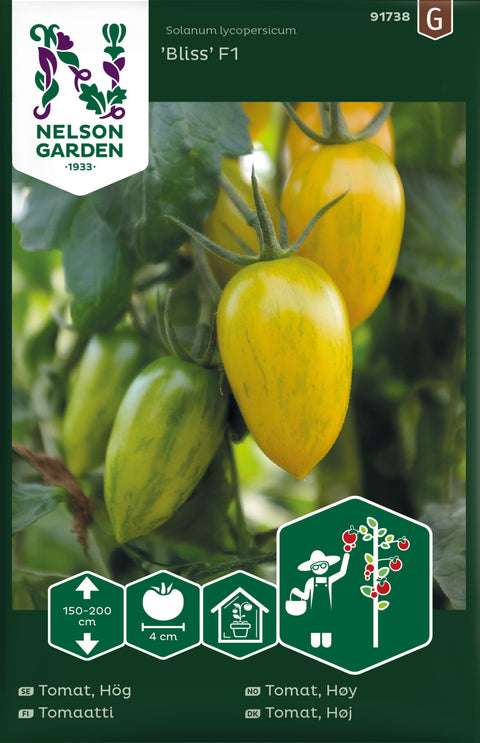 Tomat cherry 'Bliss' F1 (2026 nyhet!)