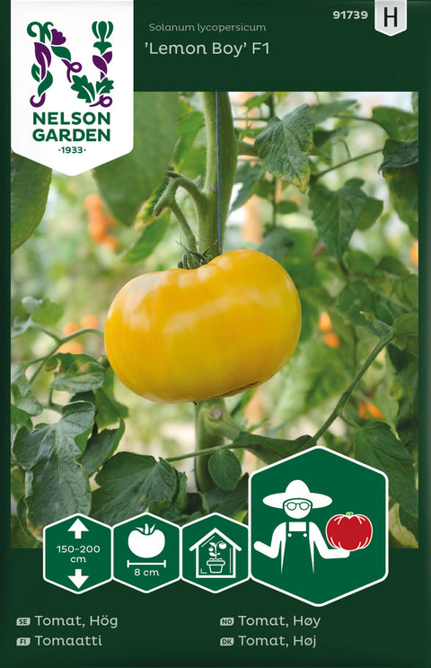 Tomat biff 'Lemon Boy' F1 (2026 nyhet!)