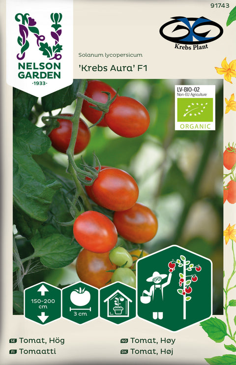 Tomat cherry 'Aura' F1 Krebs (2026 nyhet!)