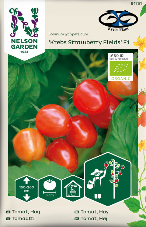 Tomat 'Krebs Strawberry Fields' F1 (2026 nyhet!)