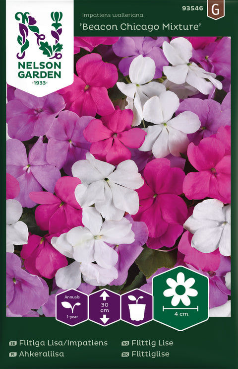 Flittig Lise 'Beacon Chicago Mixture' (2026 nyhet!)