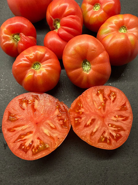 Tomat biff 'African Queen' (2026 nyhet!)