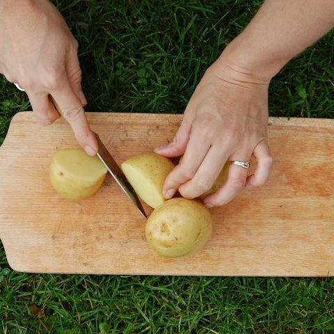 Anouk 2,5kg settepotet i spirekasse, tidlig