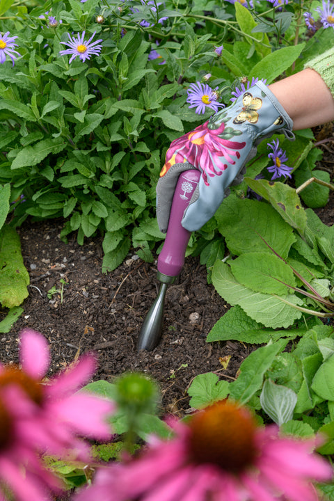 Hjertespade og dibber Asteraceae, Livstidsgaranti