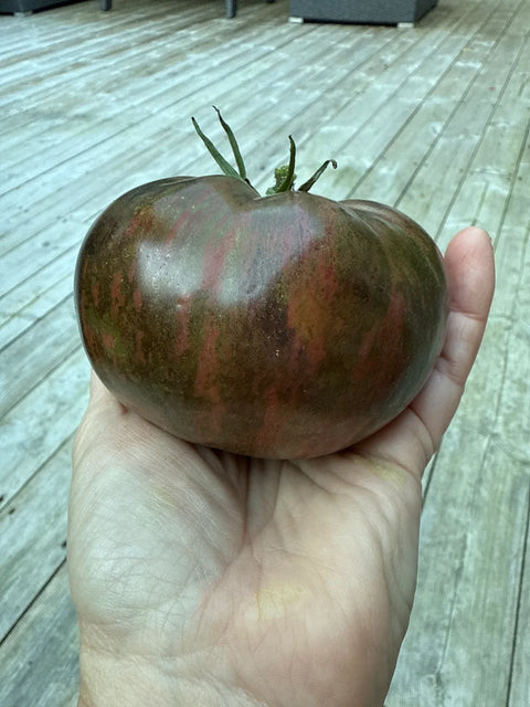 Tomat 'Blood Moon' (2026 nyhet!)