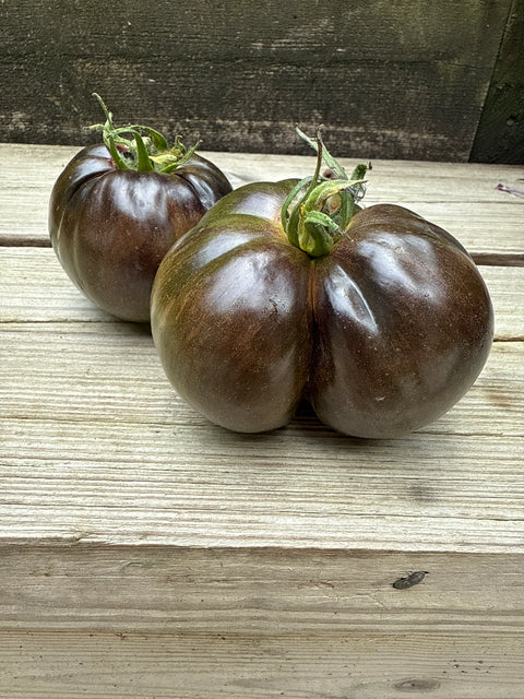 Tomat 'Blood Moon' (2026 nyhet!)