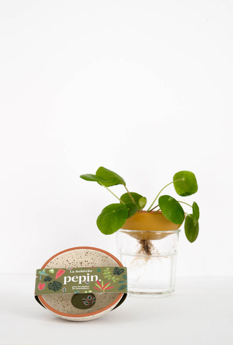 Stiklingskål, grumset hvit