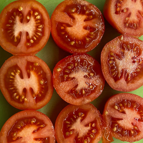 Tomat potte/busk 'Bogus Fruchta' (2026 nyhet!)