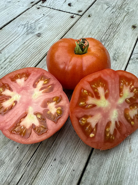 Tomat 'Boxcar Willie' (2026 nyhet!)