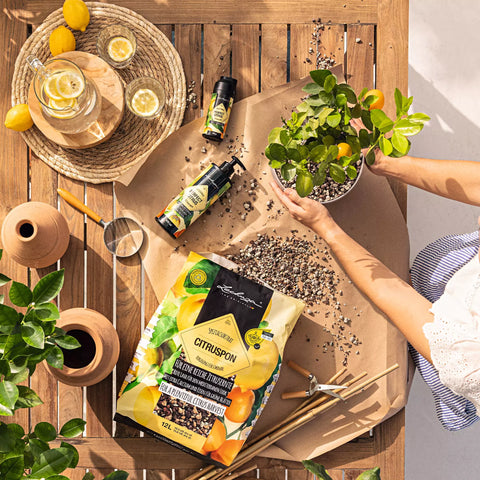 Citruspon 12L