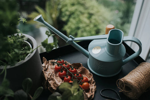 Vannkanne Lyseblå 0.5L, The Langley Sprinkler