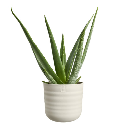 Blomsterpotte 30cm lin hvit, Dune