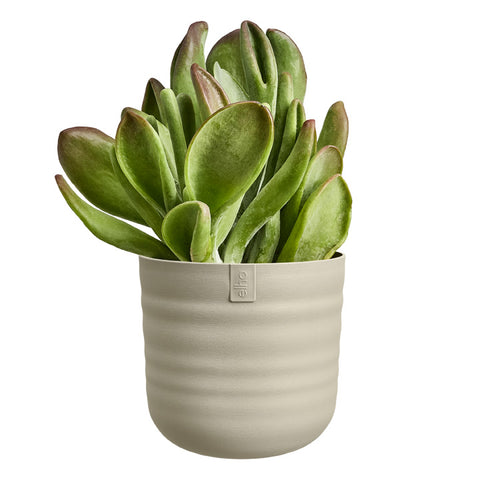 Blomsterpotte 25cm beige, Dune