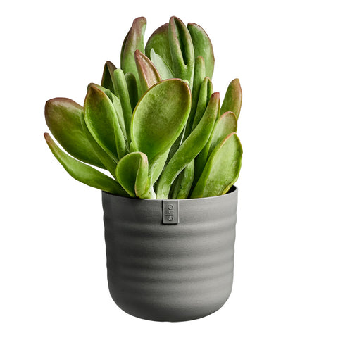 Blomsterpotte 18cm koksgrå, Dune