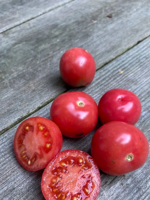 Tomat ampel 'Gartenperle'