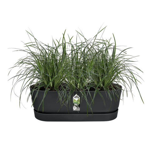 Balkongkasse komplett 52cm svart, Greenville