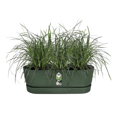 Balkongkasse komplett 52cm grønn, Greenville