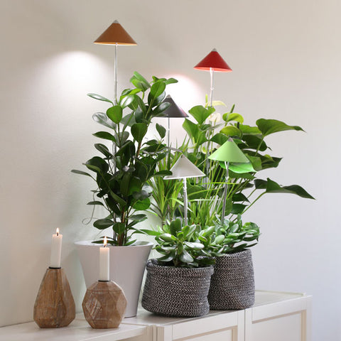 Sunlite plantelys 7W rød