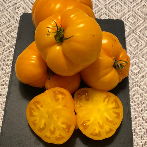 Tomat biff 'Ljuba´s heart yellow'