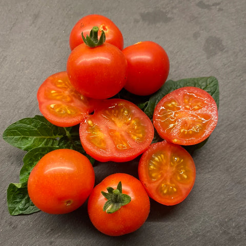 Tomat microbusk 'Minibel'