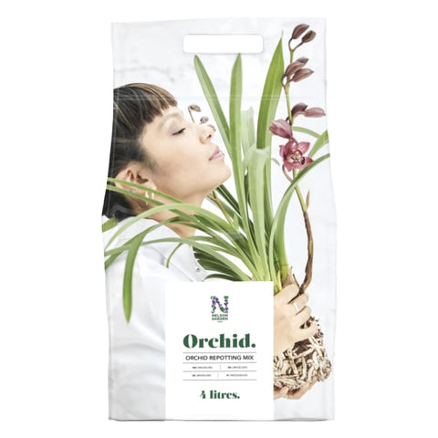 Orkidé pakke