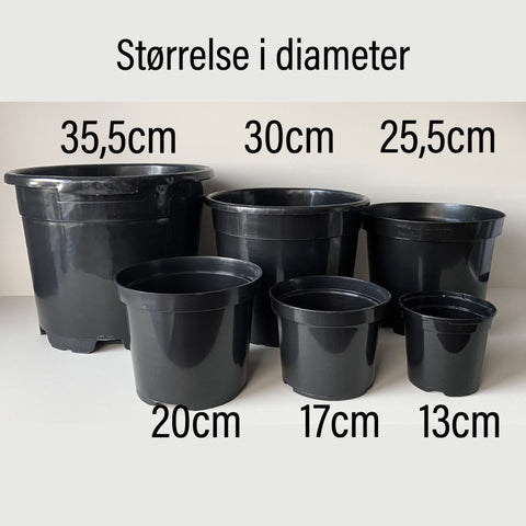 5pk Planteskolepotte 13cm