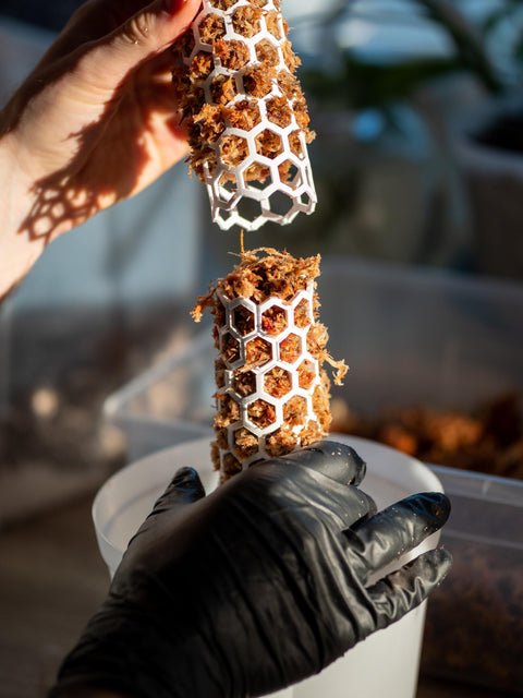 Mosestokk påbyggbar brun