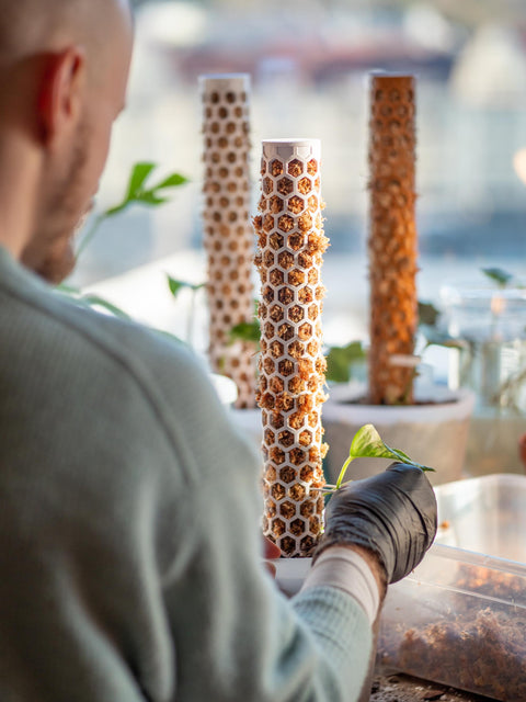 Mosestokk påbyggbar brun