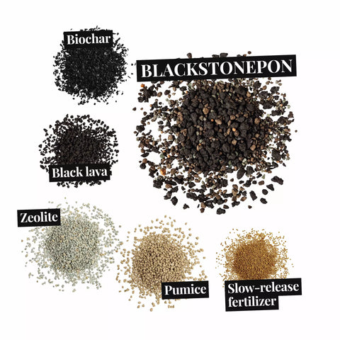 Blackstonepon 6L