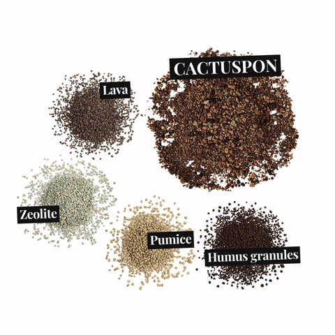 Cactuspon 3L