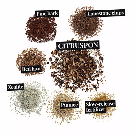 Citruspon 12L