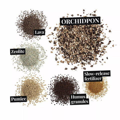 Orchidpon 6L