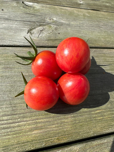 Tomat cherry 'Pink Bumble Bee'