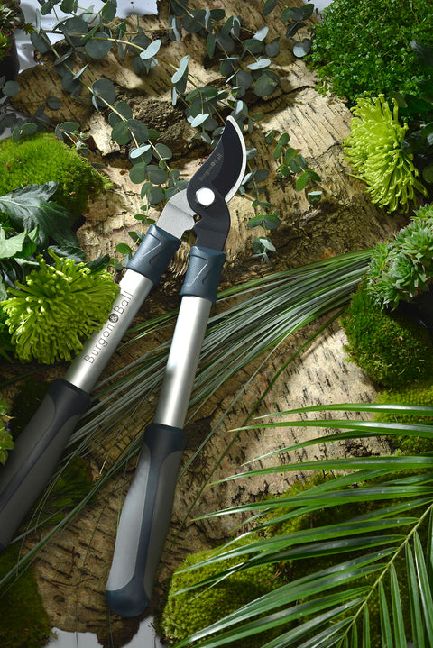 Grensaks kort