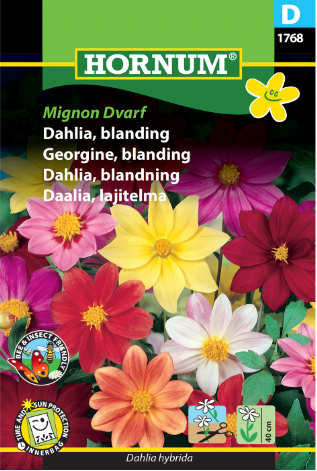 Dahlia blanding 'Mignon Dvarf'