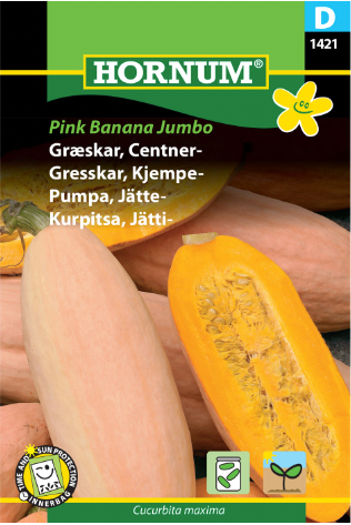 Gresskar 'Pink Banana Jumbo'