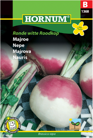 Mainepe 'Ronde Witte Roodkop'