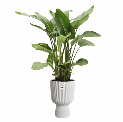 Coupe blomsterpotte hvit 30cm, Vibes Fold