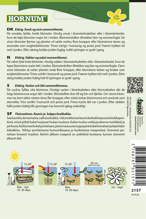 Sørgeskabiosa 'Snowmaiden'