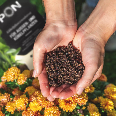 Terrapon 3L