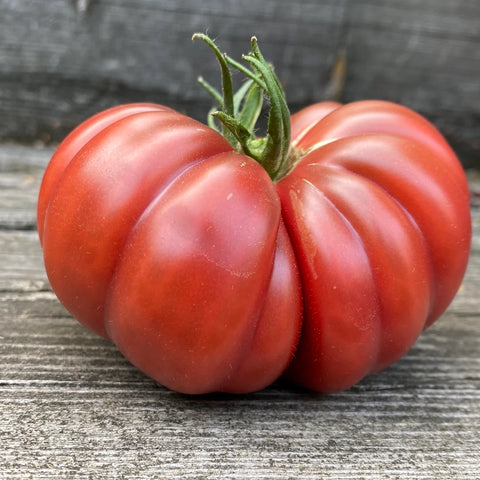 Tomat 'Tim's Black Ruffles' – Din Kjøkkenhage