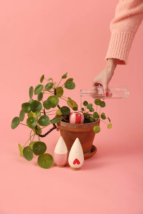 3pk mini håndlaget Olla selvvanning, Lovers