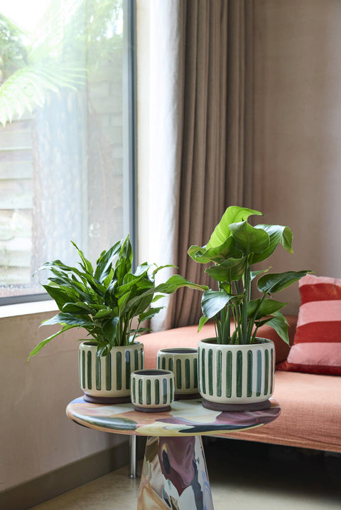 Blomsterpotte 16cm, Grønne striper