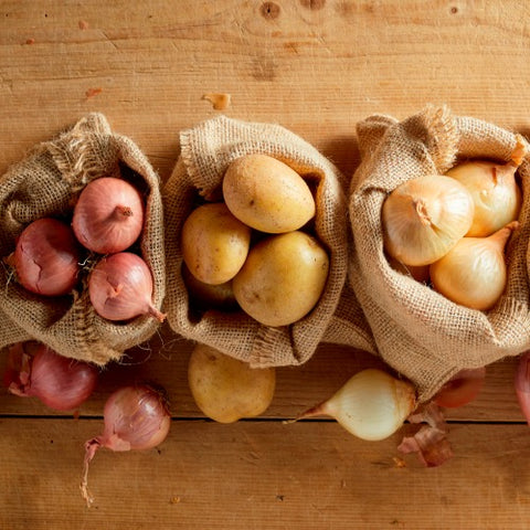 Setteløk, settepoteter og setteknoller